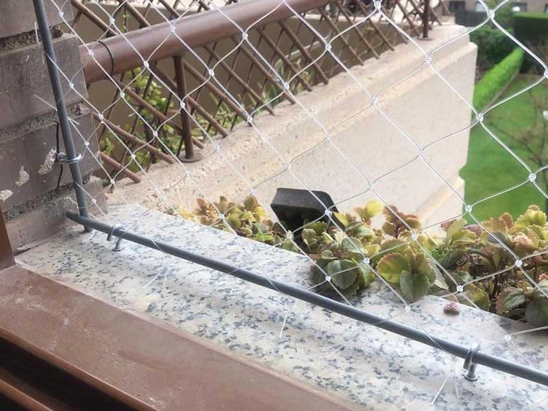 Red-para-gatos-Barcelona