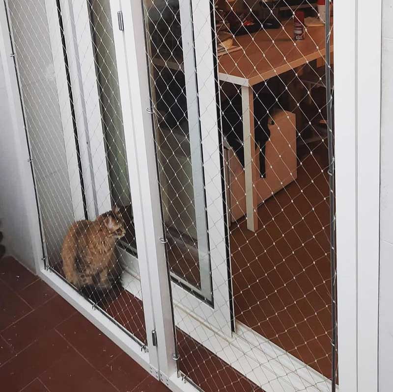 Red-para-gatos-Barcelona